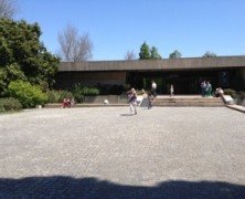 freeze-frame (VI)