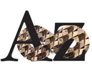 AZ Infinitum – Sistema de Referência e Indexação de Azulejo