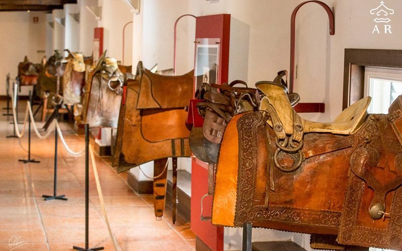 Colecção de selas do historiador luso-alemão Rainer Daehnhard